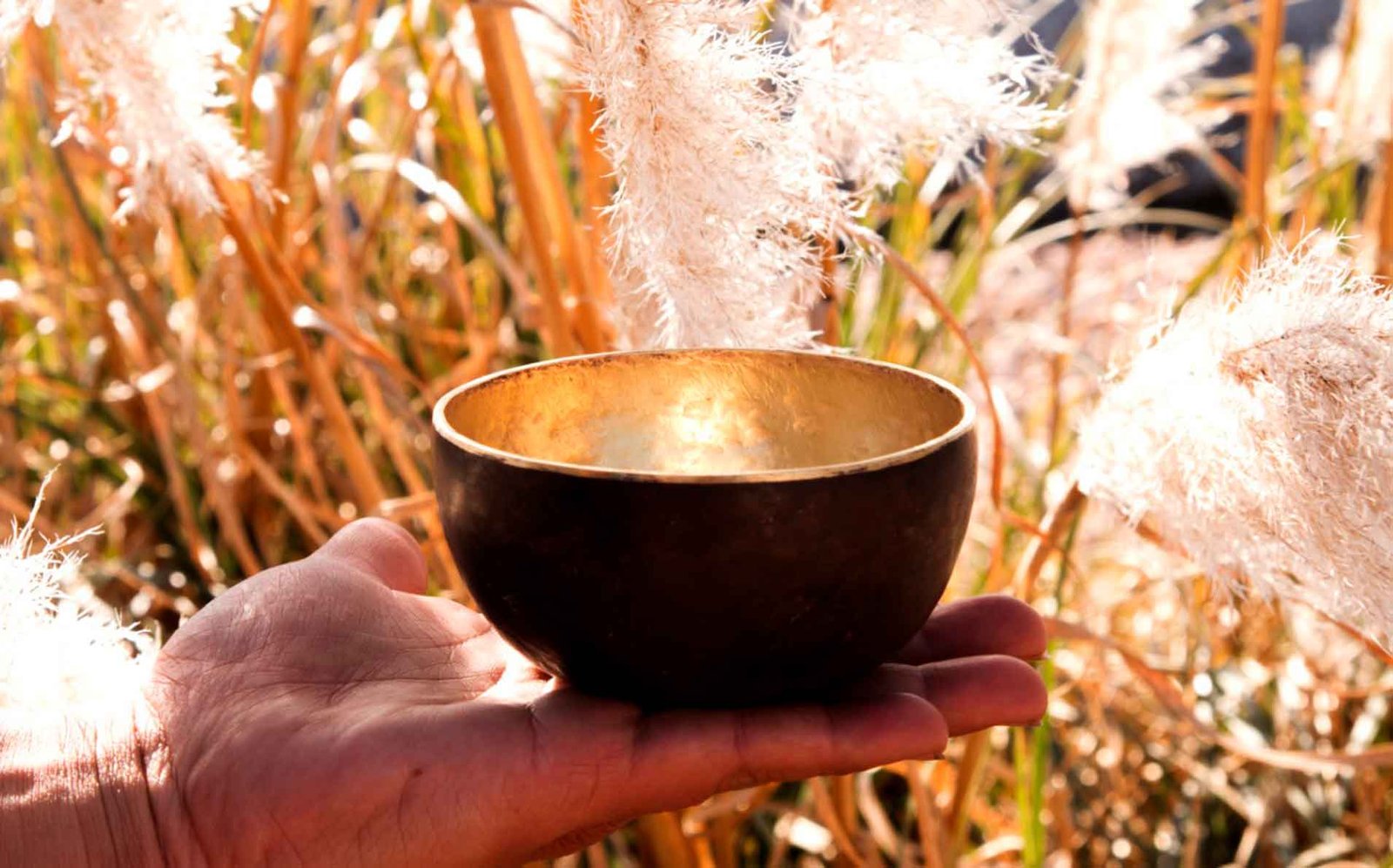 ECOS DE LA LUNA Cuencos Tibetanos e Instrumentos Terapéutico